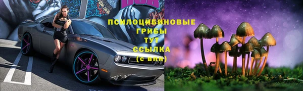 PSILOCYBIN Алзамай