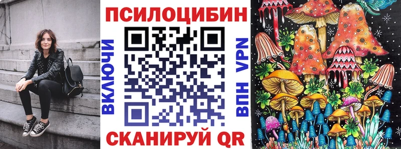 blacksprut онион  Асино  Галлюциногенные грибы GOLDEN TEACHER 